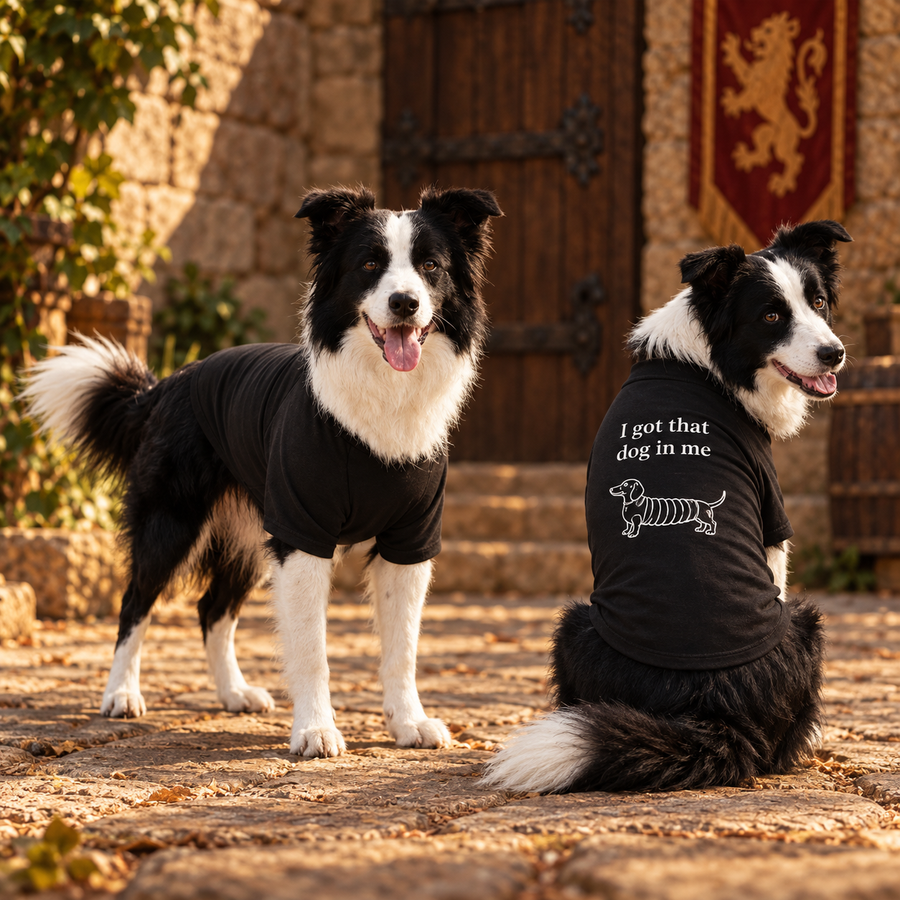 Two border collies in black raglan dog shirts, one showing the back print I got that dog in me