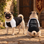 Two pugs in white and black raglan dog shirts, one showing the back print I got that dog in me with a dachshund chimney cake